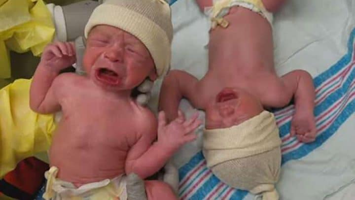jumeaux bébés inséparables pleurent