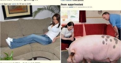 insolite le bon coin