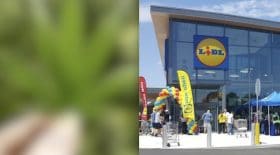 Vous ne devinerez jamais ce que Liddl va bientôt commercialiser