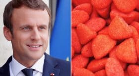 macron tagada