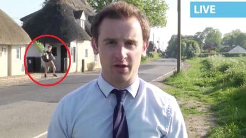 plante de cannabis capté en direct à la télé