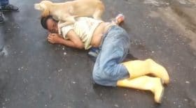 chien