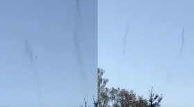 des petites tornades d'insectes en Suède