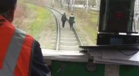 train