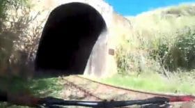 train