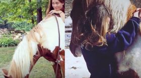elle sauve un cheval de l'abattoir, ils deviennent les meilleurs amis du monde