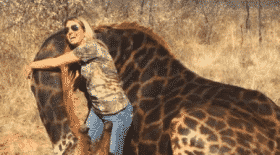 girafe, girafe noire, animaux, chasse, femme tue girafe, réseaux sociaux