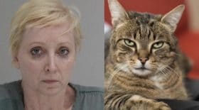 Elle tue son mari qui frappait son chat