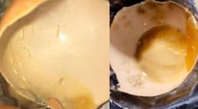 oeuf pourri avec asticots