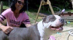 Ce pitbull a sauvé une petite fille de manière incroyable