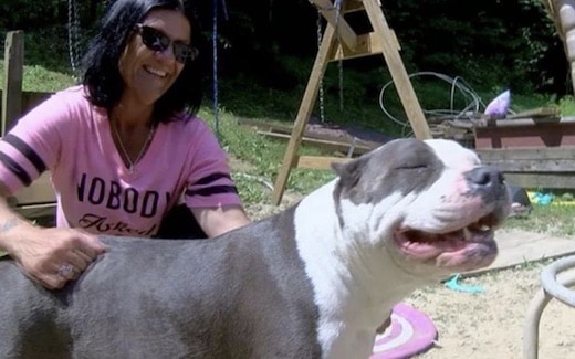 Ce pitbull a sauvé une petite fille de manière incroyable