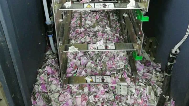 rats mangent des billets dans un distributeur