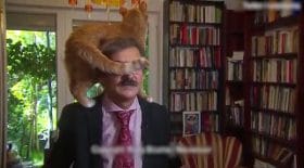 Ce chat voulait absolument passer à la télé