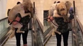 chien bras de sa maitresse descendre escalator