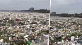 Des centaines de milliers de déchets plastique flottent dans l'océan