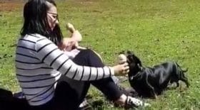 chien mange glace femme lèche