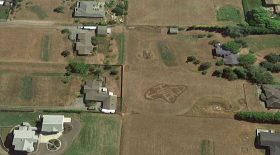 insultes voisins google maps tondre pelouse