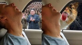 photomontages vengeance petit ami qui dort