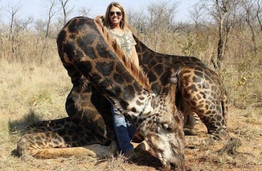 La chasseuse qui a tué une girafe ne compte pas s'excuser