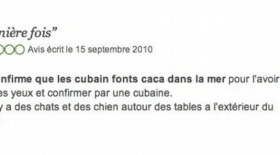 tripadvisor