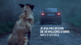 Une application pour smartphone de 30 Millions d'Amis