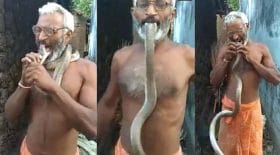 tête du serpent en bouche
