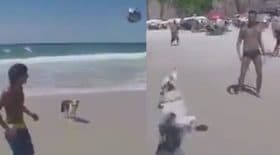 un chien jour au foot sur la plage