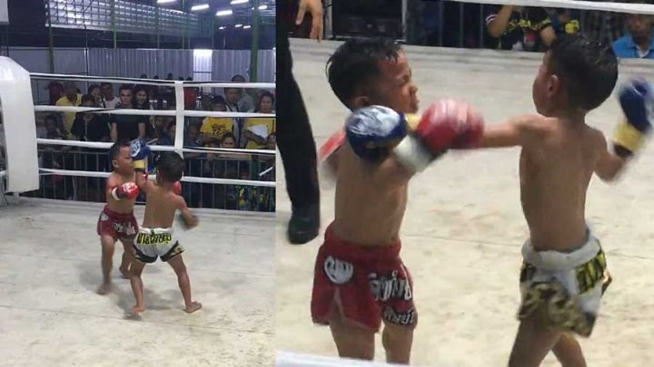 enfants boxe thaïlandaise combat violent