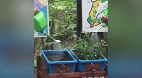 déforestation sur les inondations