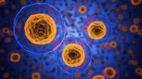 Des chercheurs ont réussi à rajeunir des cellules humaines