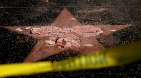 Donald Trump Walk of fame étoile