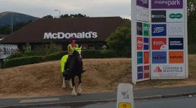 drive-in McDonald's interdiction cheval