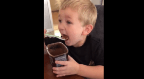 Un enfant goûte du vrai cacao en poudre