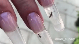 Manucure : des fourmis dans vos ongles ?