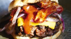 accroc à la mal bouffe