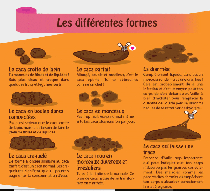 Que Se Passe t il Dans Votre Corps Si Vous Ne Faites Pas Caca Pendant 