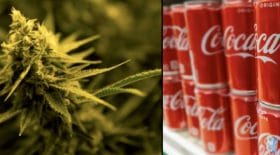 Coca cola cannabis