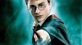 baguettes Harry Potter