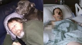 homme léché par un chien bactérie amputé