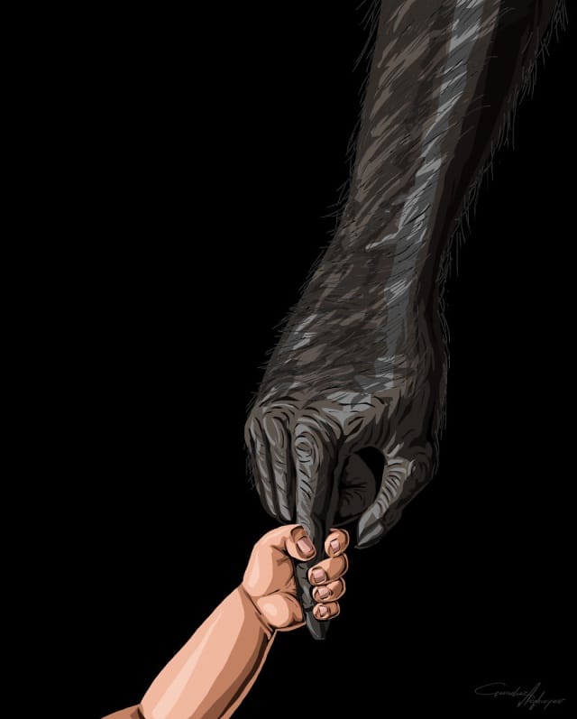 Evolution de l'homme