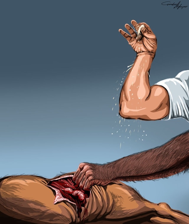 Evolution de l'homme