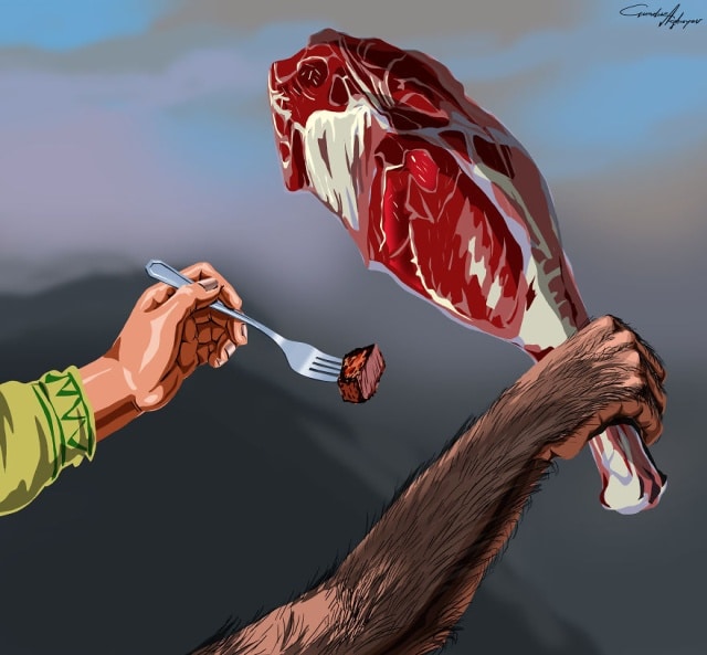 Evolution de l'homme