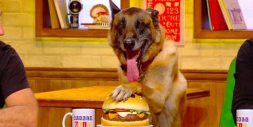 Alain Chabat présente un chien en tant que candidat du Burger Quiz