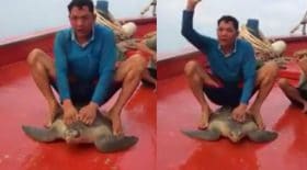 pêcheur monte carapace de tortue