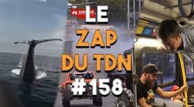 zapping