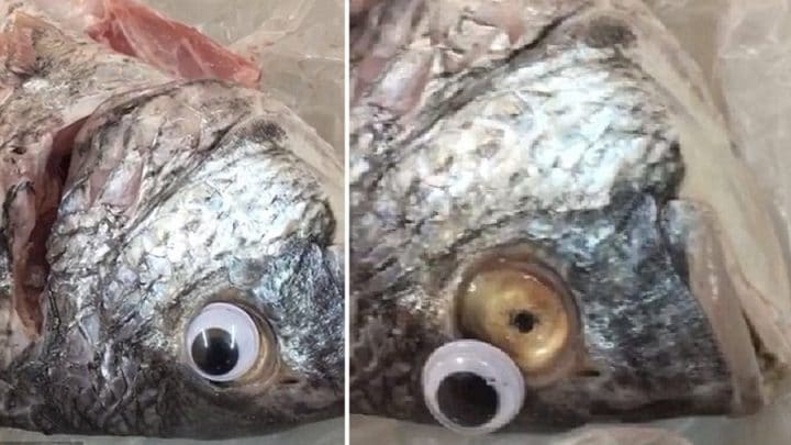 poissons poissonnier yeux en plastique