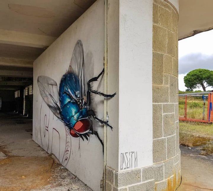 Sergio Odeith