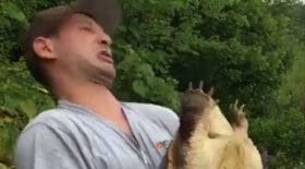 Une tortue mord un homme dans une plage !