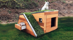 Une niche pour chien