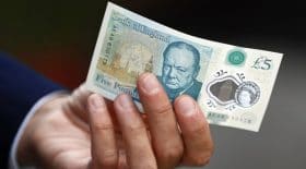 billets de banque suif vegan